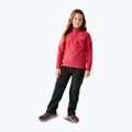 Dětské trekové kalhoty REGATTA Highton Winter black 5