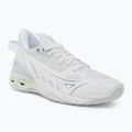 Dámské boty na házenou Mizuno Wave Mirage 5 white/glacial ridge/patinagreen