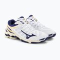 Pánská volejbalová obuv Mizuno Wave Voltage white / blue ribbon / mp gold 5