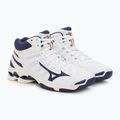 Pánská volejbalová obuv Mizuno Wave Voltage Mid white / blue ribbon / mp gold 5