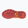 Dámské běžecké boty Mizuno Wave Daichi 8 GTX nasturtium/citrus/cranberry 6
