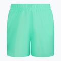 Pánské plavecké šortky Nike Essential 5" Volley zelené NESSA560-315