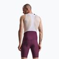 Pánské cyklistické šortky Rapha Brevet Element Cargo Bib Shorts plum/white 2