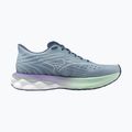 Dámské běžecké boty Mizuno Wave Skyrise 6 citadel/white/bay 9