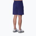 Pánské šortky Mizuno 8 Inches Flex Short beacon blue 2