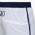 Pánské plavecké šortky Speedo Jetstream Retro Logo Volley 16" white 4