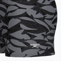 Pánské plavecké boxerky Speedo Print Beachstar Square Leg Anthracite/Coin Grey 8