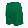 Dětské plavecké šortky Nike Essential 4" Volley stadium green 2