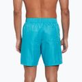 Pánské plavecké šortky Nike Swim Breaker 7" Volley dusty cactus 3