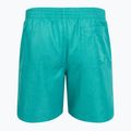 Pánské plavecké šortky Nike Swim Breaker 7" Volley dusty cactus 2