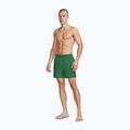 Pánské plavecké šortky Nike Essential 5" Volley malachite 2