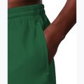 Pánské plavkové šortky Nike Lap Logo 5" Volley malachite 5
