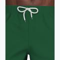 Pánské plavkové šortky Nike Lap Logo 5" Volley malachite 6