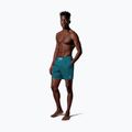 Pánské plavkové šortky Nike Breaker Logofetti 5" Volley green abyss 2
