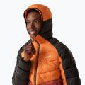 Pánská oteplená bunda  REGATTA Hooded Dalent fox/red ochre 4