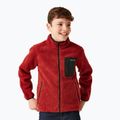 Dětská mikina REGATTA Junior Frankie Full Zip red ochre