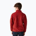 Dětská mikina REGATTA Junior Frankie Full Zip red ochre 3