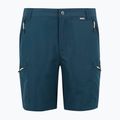 Pánské trekové šortky REGATTA Leesville III moonlight denim 6