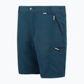 Pánské trekové šortky REGATTA Leesville III moonlight denim 8