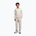Dětská mikina New Balance Brush Back Small Logo Crew timberwolf 2