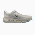 Pánské běžecké boty Mizuno Wave Horizon 9 foggy dew/dark slate/blue jewel 2