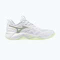 Dámské volejbalové boty Mizuno Wave Momentum Pro white/aqua gray/ambrosia