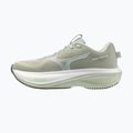 Dámské běžecké boty Mizuno Wave Rider 30 balsam green/mentholated/white