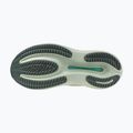 Dámské běžecké boty Mizuno Wave Rider 30 balsam green/mentholated/white 2