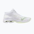 Dámské volejbalové boty Mizuno Wave Lightning Pro Mid white/aqua gray/ambrosia
