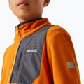 Dětská fleecová mikinaREGATTA Frankie Full Zip fox 4