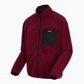Pánská fleecová mikina REGATTA Frankie Full Zip dark maroon 8