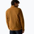 Pánská fleecová mikina REGATTA Frankie Borg rich tan/black 3