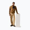 Pánská fleecová mikina REGATTA Frankie Half Zip rich tan/navy 2