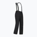 Pánské lyžařské kalhoty Dare 2b Achieve III Pant black 10