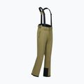 Pánské lyžařské kalhoty Dare 2b Achieve III Pant martini Olive 10