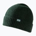 Dámská zimní čepice REGATTA Ribbed Basic deep pine 2