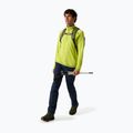 Pánské softshellové kalhoty REGATTA Geo Softshell navy 2