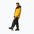 Dětská zateplená bunda  REGATTA Lofthouse black/mustard 3