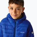 Dětská péřová bunda REGATTA Hooded Marizion olympian blue/aviator blue 6