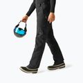 Pánské lyžařské kalhoty Dare 2b Baseplate Insulated Pant black 4