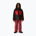 Dětská lyžařská bunda Dare 2b Cheery black/danger red 2