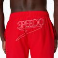 Pánské koupací šortky Speedo Classic Logo Volley 16" High Risk Red 6