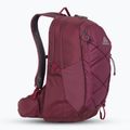 Turistický batoh Gregory Kiro 22 l amethyst purple 2