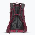 Turistický batoh Gregory Kiro 22 l amethyst purple 3
