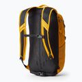 Batoh městský Gregory Nano 20 l hornet yellow 2