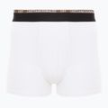 Pánské boxerky CR7 Basic Trunk 10 ks multicolur 2