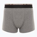 Pánské boxerky CR7 Basic Trunk 10 ks multicolur 3