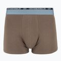 Pánské boxerky CR7 Basic Trunk 5 ks 2412 multicolur 5