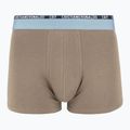 Pánské boxerky CR7 Basic Trunk 5 ks 2412 multicolur 6