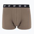Pánské boxerky CR7 Basic Trunk 5 ks 2414 multicolur 3